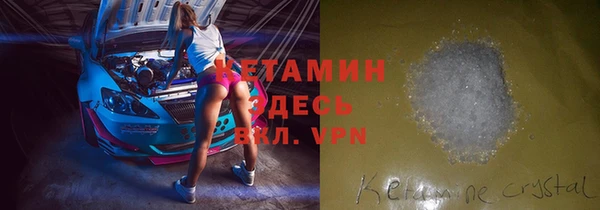 трава Аркадак