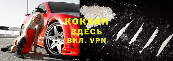 трава Аркадак