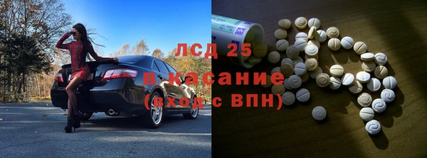 трава Аркадак