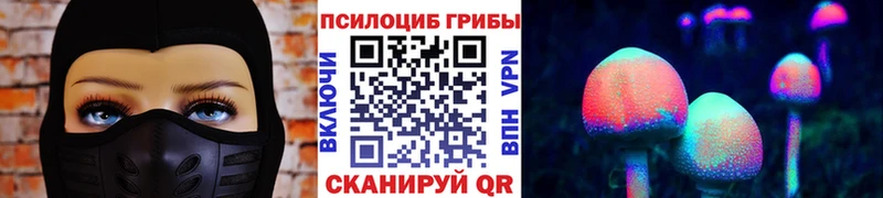 как найти Ростов Галлюциногенные грибы ЛСД